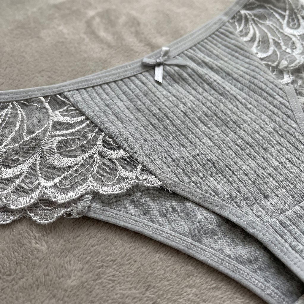 Avéline Plus-Size Lace Hipster Brief