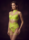 Model wearing Avéline Lace Bra & Panty Set with Garter Belt